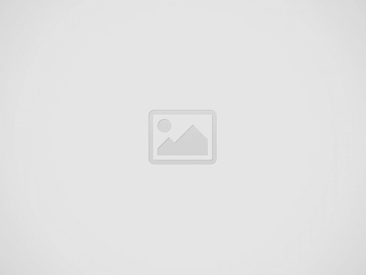 سایت شرط بندی بکس بت